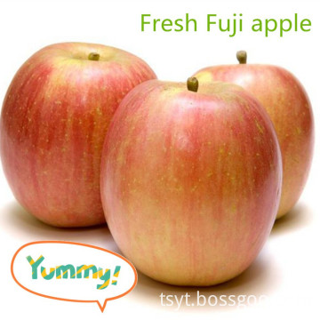 Fresh Fuji apple fresh fruit and veget